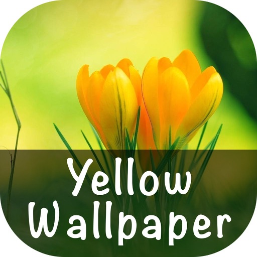 Yellow Wallpaper icon