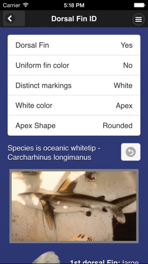 Shark Fin Identifier(圖5)-速報App