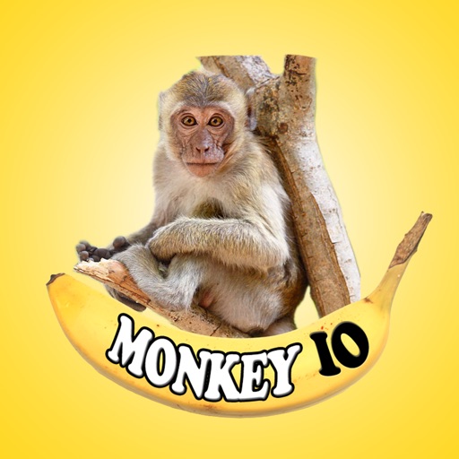 Monkey IO iOS App
