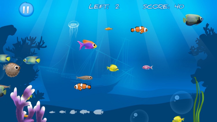 Best Hungry Fish screenshot-3