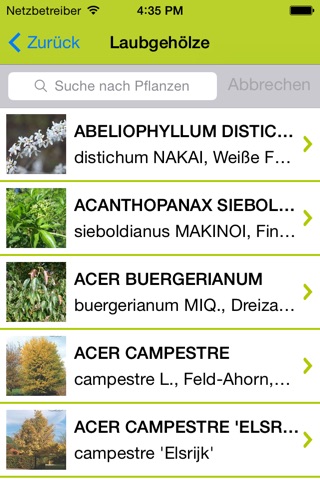Bruns Pflanzen screenshot 2