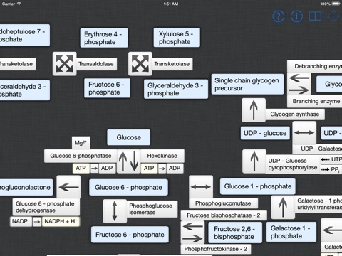 Medical Biochemistry screenshot 4