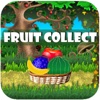 Fruit-Collect