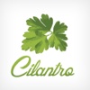 Cilantro