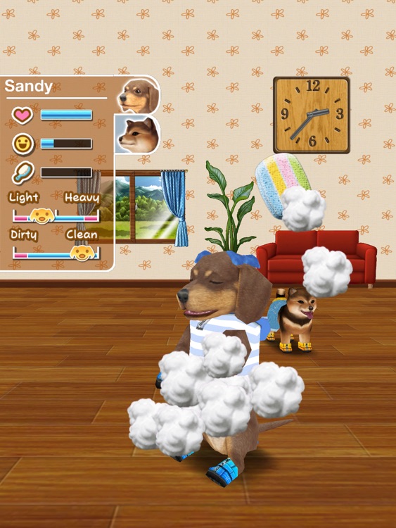 My Dog My Room HD