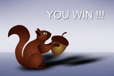 Squirrel Pro screenshot 3