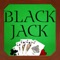 Casino Blackjack Game Pro