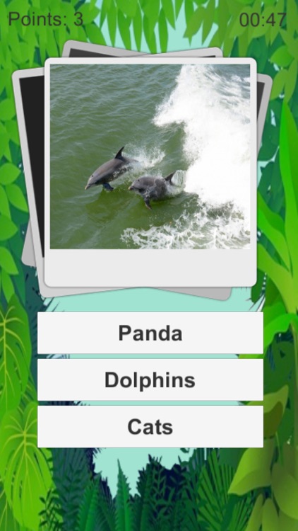 Animal Quiz Kids screenshot-3