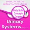 Urinary Systems2600 Flashcards