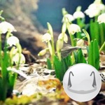 Nature 1 Breathing Apps