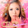 ヘアチェンジ『KamiKami CELEB』