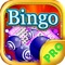 Supreme Blitz PRO - Practise your Bingo Game and Daubers Skill for FREE !