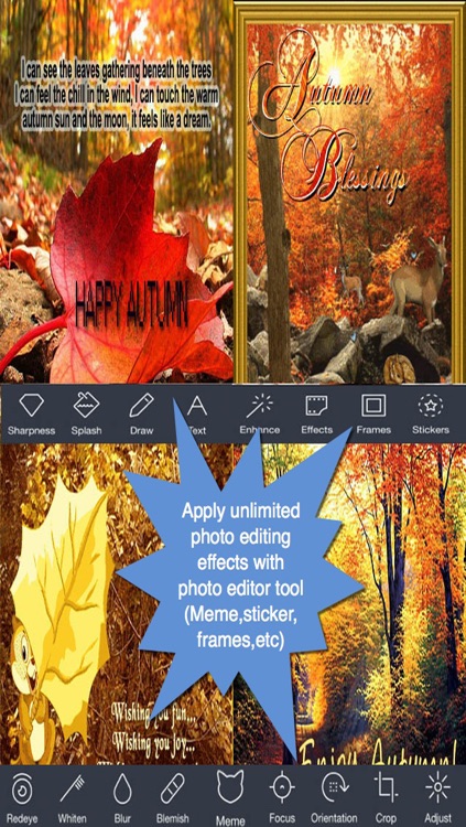 Happy Autumn Greeting Cards