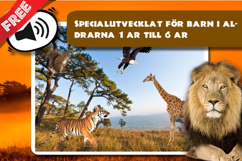 Free Sound Game Wildlife Photo screenshot 2