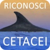 RICONOSCICETACEI