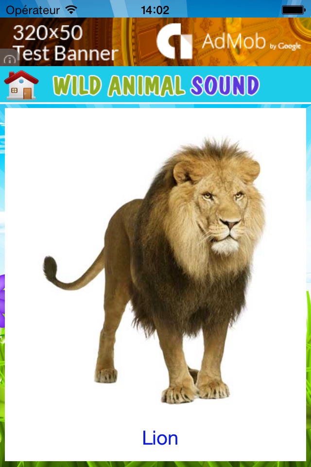 Best animal sound for kids screenshot 4