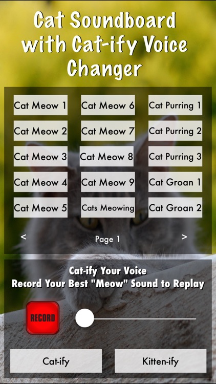 Cat Soundboard with Cat-ify Voice Changer (Includes Kitten Meows and Purring)