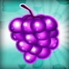 Fruit Blitz Free