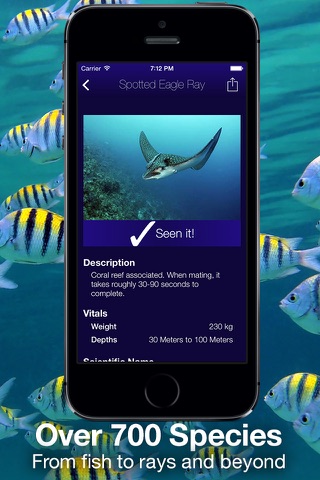 Fishlist: Caribbean screenshot 3