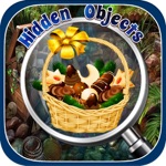 Hidden ObjectsPandoras Treasure Hidden Object