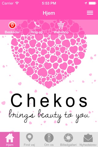 Chekos screenshot 2