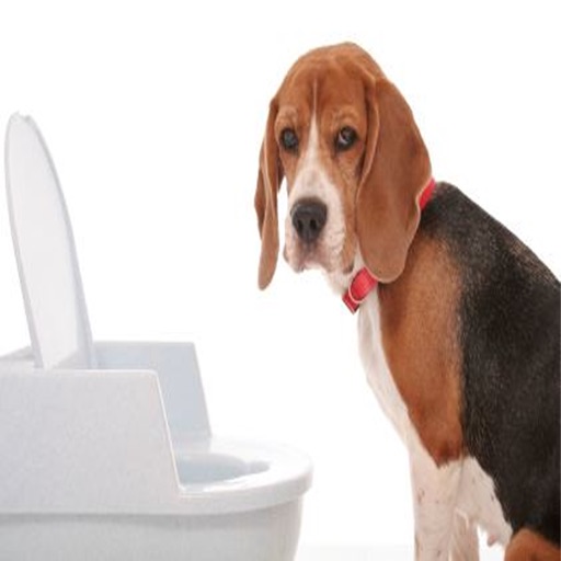 Potty Training For Dogs icon