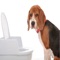 Potty Training Guide For Puppy is the Complete video guide for you to train your puppy for potty
