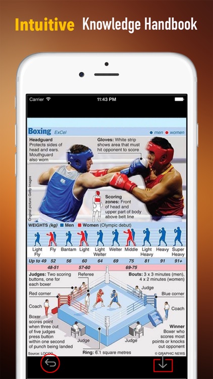Boxing 101: Quick Learning Reference with Video Lessons and Glossary