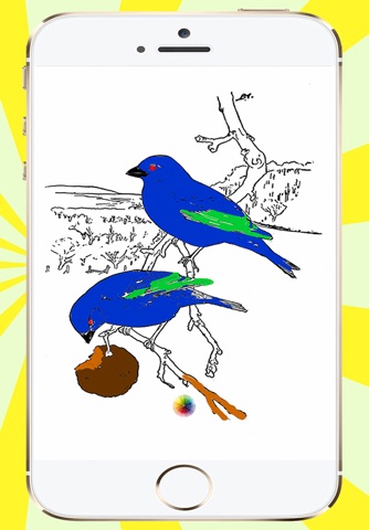 Coloring Book Birds screenshot 4