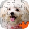 Icon Puppy Play Jigsaw Puzzle Touch Party