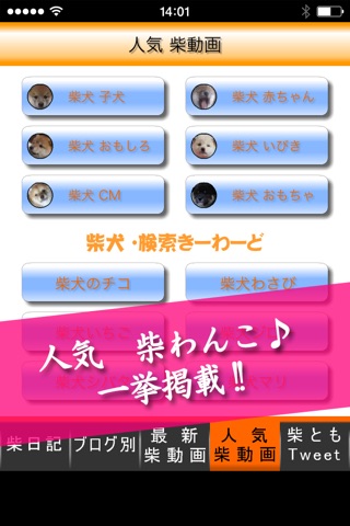 柴犬フレンズ screenshot 4