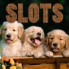 Pet Shop Animals Slots Machine - FREE Amazing Las Vegas Casino Games Premium Edition