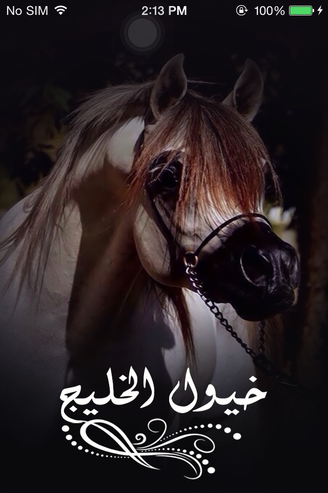 خيول الخليج screenshot 2