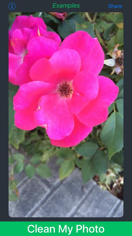 Remove Caption for Snapchat* Screenshots