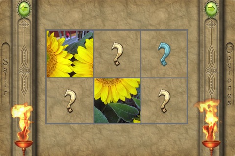 FlipPix Jigsaw - Posies screenshot 2
