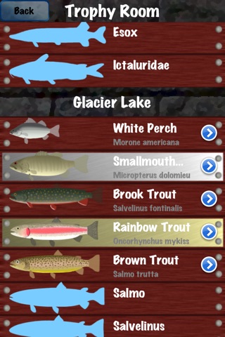 Winter Fishing screenshot 4