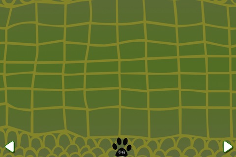 触摸并画出动物们 screenshot 3