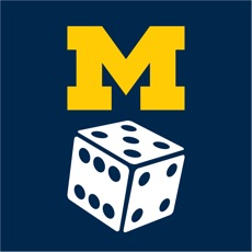 Activities of Michigan Liar's Dice