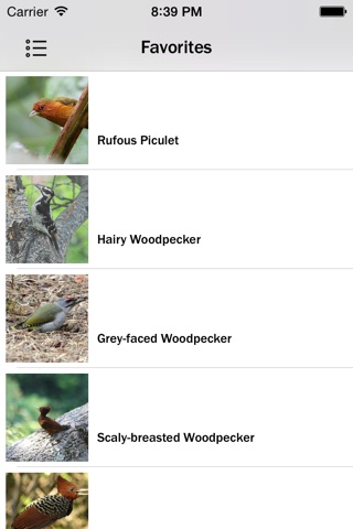Woodpeckers Encyclopedia Pro screenshot 4