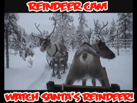 ReindeerCam - Watch Santa's Reindeer & More screenshot 3