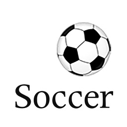 Soccer Scoreboard for iPad
