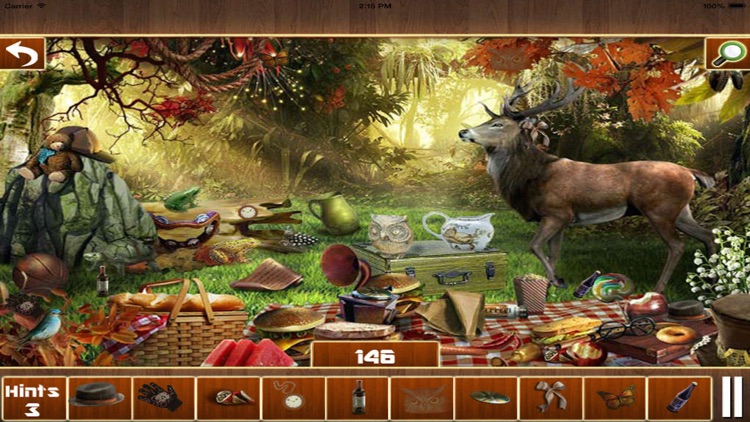 Hidden Objects : Forest Story