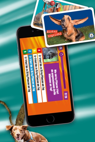 Animal Champions screenshot 3