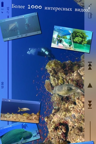 Scuba Diving - Amazing underwater world screenshot 2