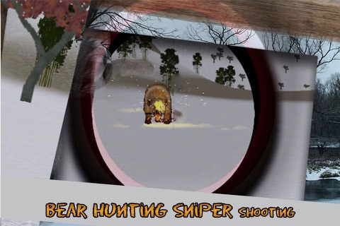 Wild Bear Hunting 3D - Sniper Shooting Survival 2015 screenshot 4