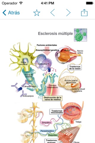 Miniatlas Central Nervous System screenshot 4
