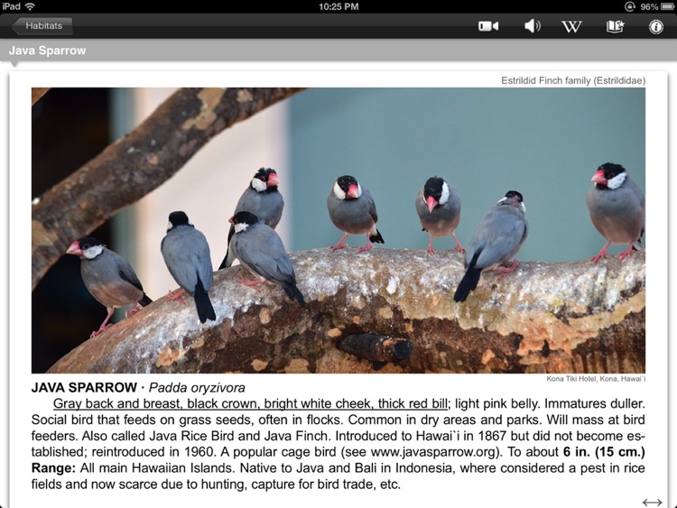 Bird ID Hawaii for iPad