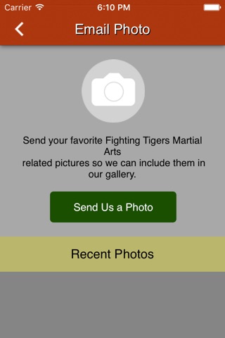 Fighting Tigers Martial Arts screenshot 3