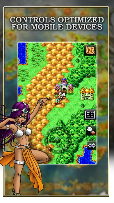 DRAGON QUEST IV Chapters of the Chosen Screenshot 3