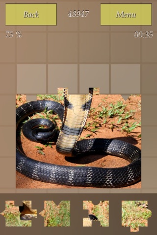 Snakes Puzzles screenshot 3